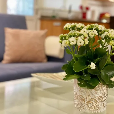 Elegante Piso En Appartement Puerto de la Cruz (Tenerife)